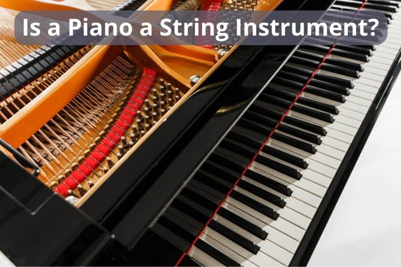 Is a Piano a String Instrument?
